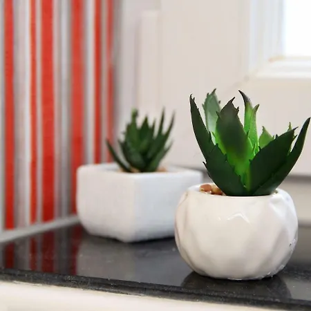 Apartman Chic *